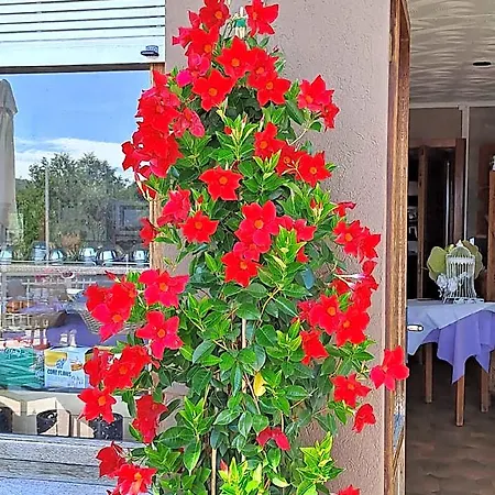 Hotel Mirabeau 3*